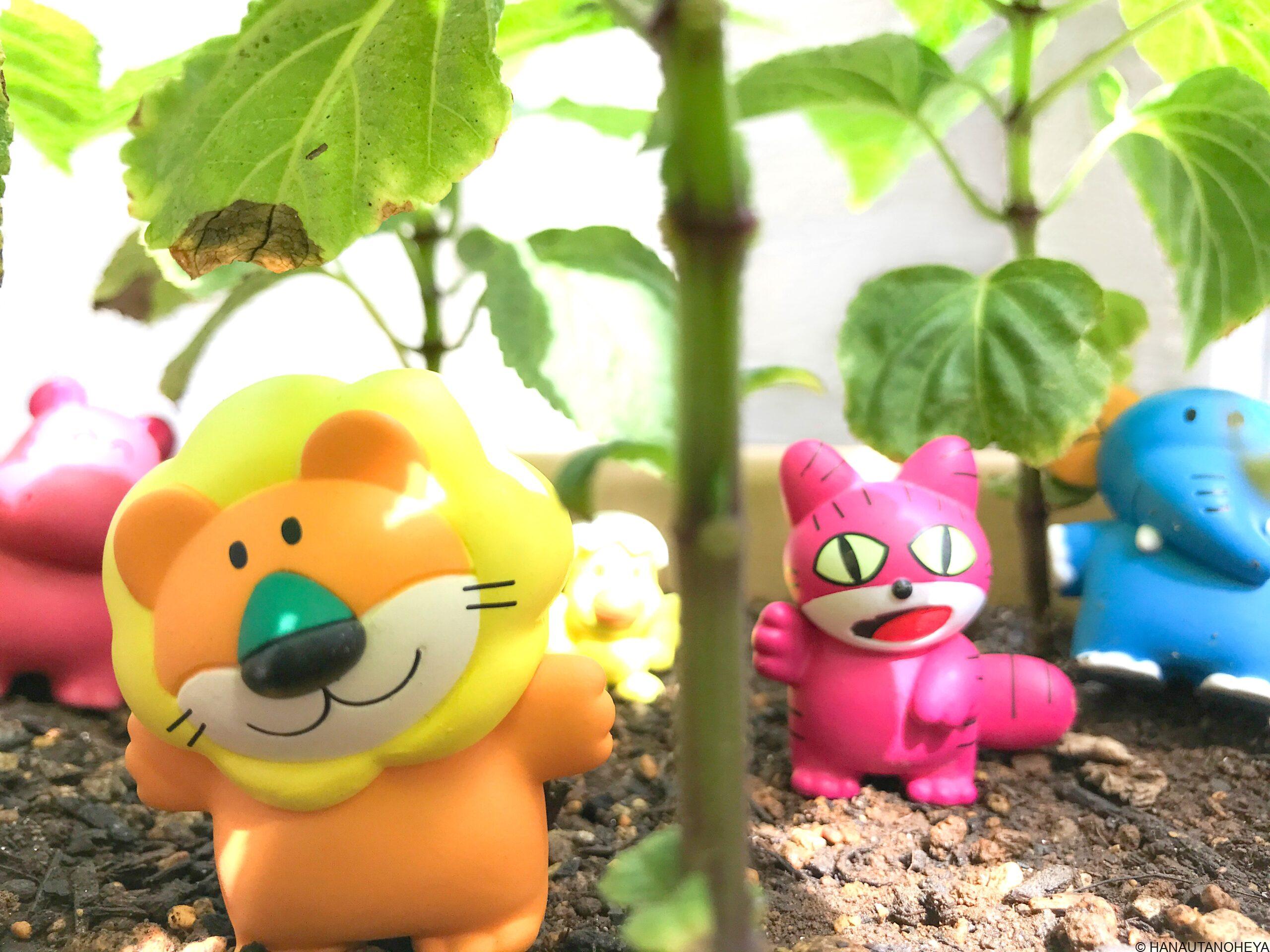 関東甲信 最高気温４０度